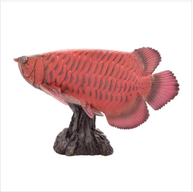アジアアロワナ フィギュア ソフトモデルフィギュア 紅龍 古代魚 玩具グッズ通販 - 画像 (6)