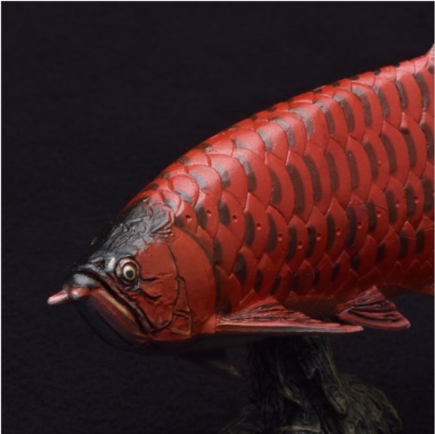 アジアアロワナ フィギュア ソフトモデルフィギュア 紅龍 古代魚 玩具グッズ通販 - 画像 (4)