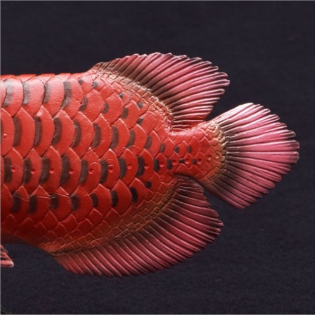 アジアアロワナ フィギュア ソフトモデルフィギュア 紅龍 古代魚 玩具グッズ通販 - 画像 (3)