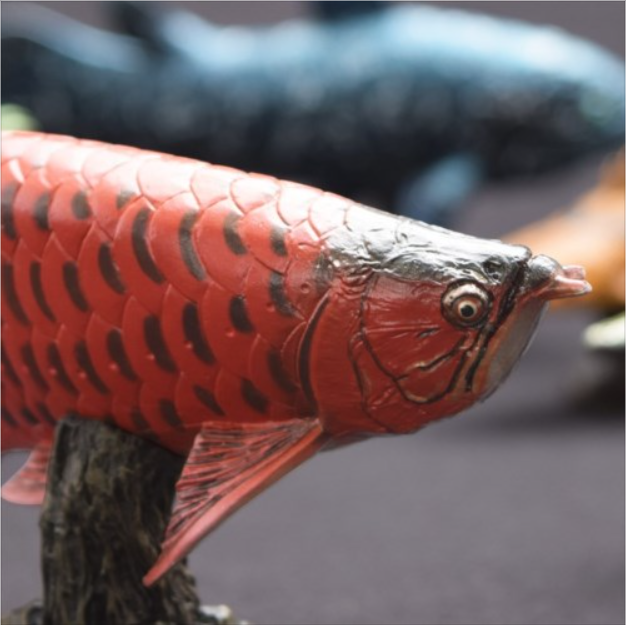 アジアアロワナ フィギュア ソフトモデルフィギュア 紅龍 古代魚 玩具グッズ通販 - 画像 (2)