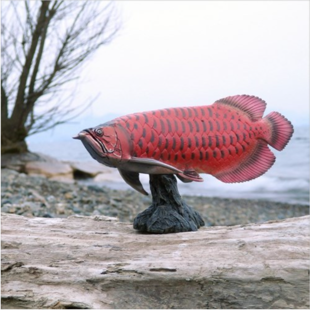 アジアアロワナ フィギュア ソフトモデルフィギュア 紅龍 古代魚 玩具グッズ通販 - 画像 (9)