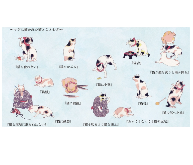 【日本製 美濃焼】江戸猫マグ「たとえ尽の内」マグカップ白+清2点1セット - 画像 (5)