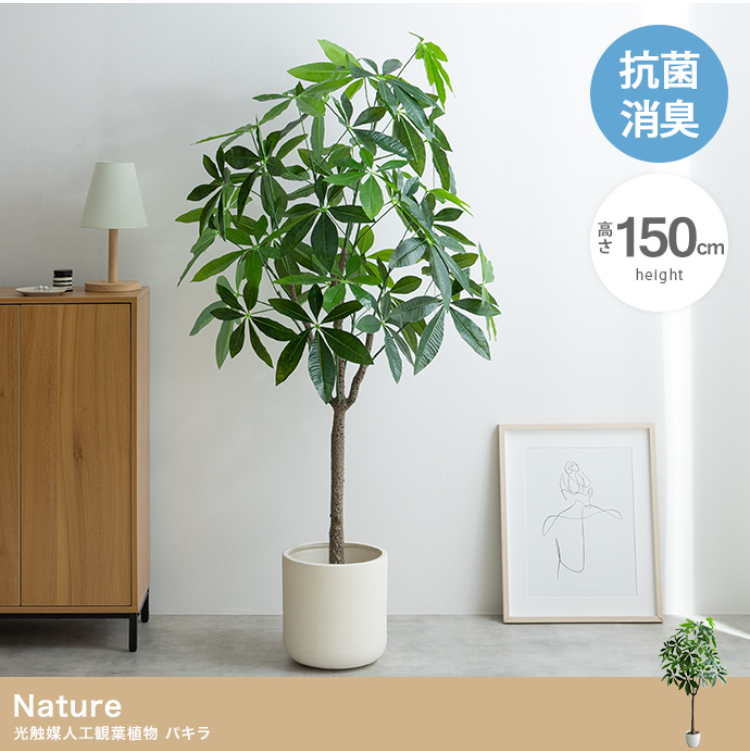 パキラ 高さ150cm人工観葉植物グリーンインテリアNature 光触媒 - 画像 (5)