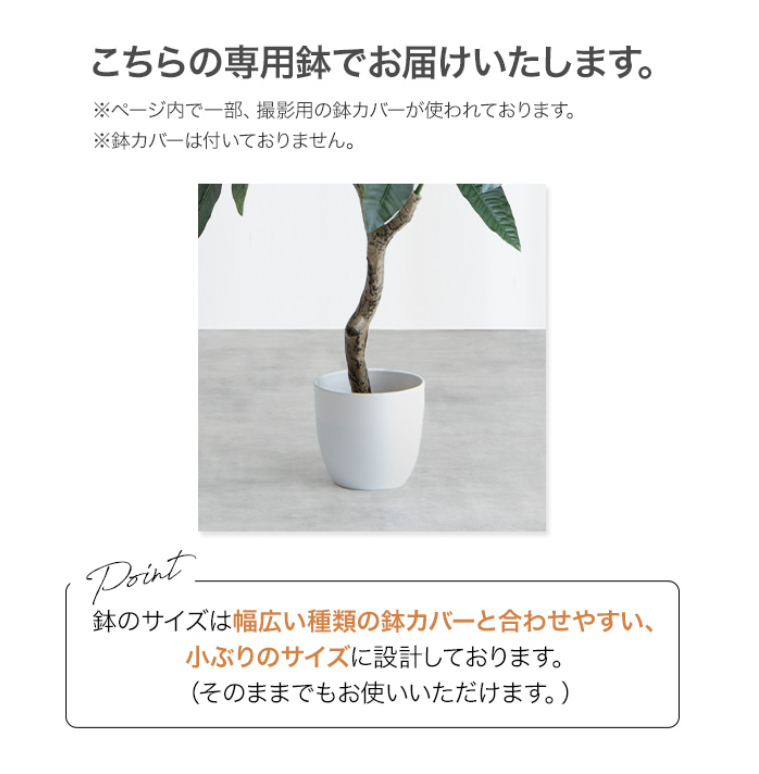 オリーブ 大きい 150cm人工観葉植物グリーンインテリアNature 光触媒 - 画像 (10)